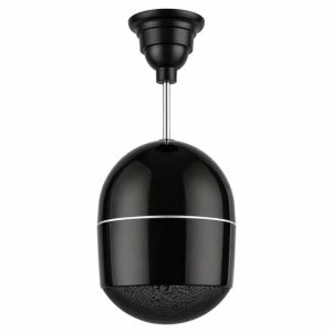 Pendant speaker